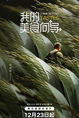 我的美食向导海报