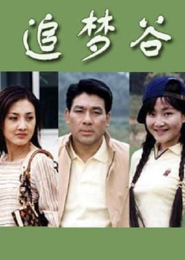 追梦谷海报