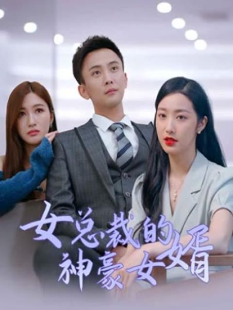 女总裁的神豪女婿海报