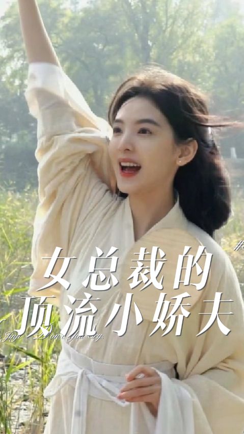 女总裁的顶流小娇夫海报