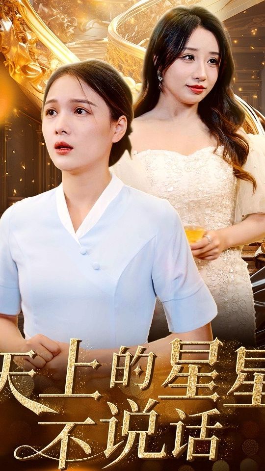 天上的星星不说话海报