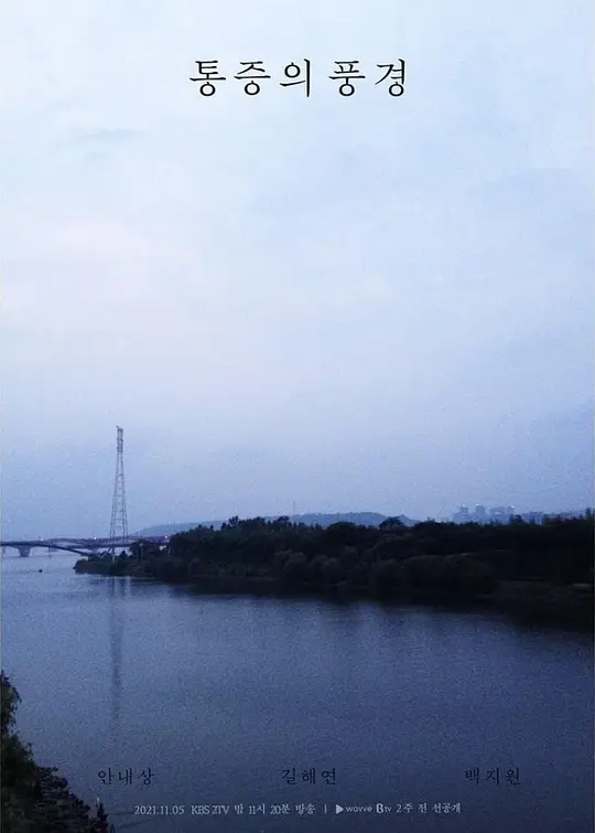 疼痛的风景【影视解说】海报