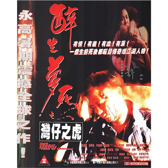 湾仔之虎【影视解说】海报