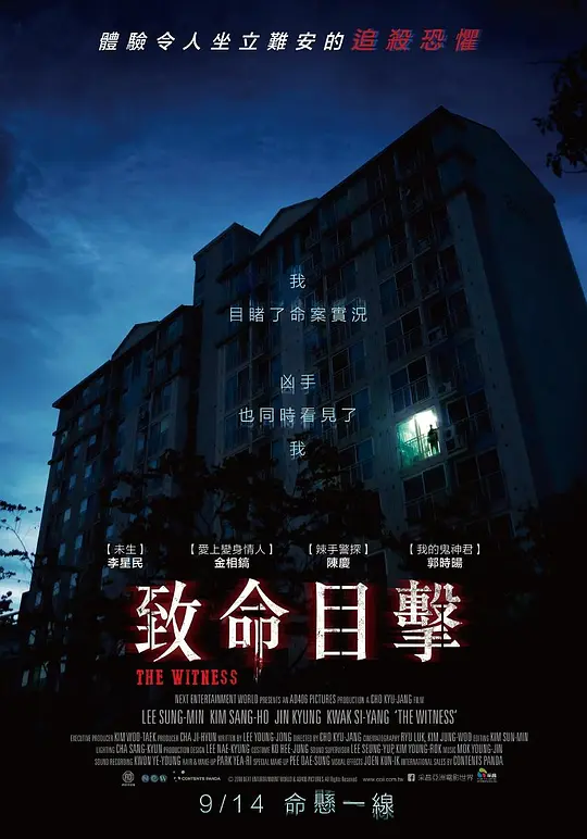致命目击【影视解说】海报