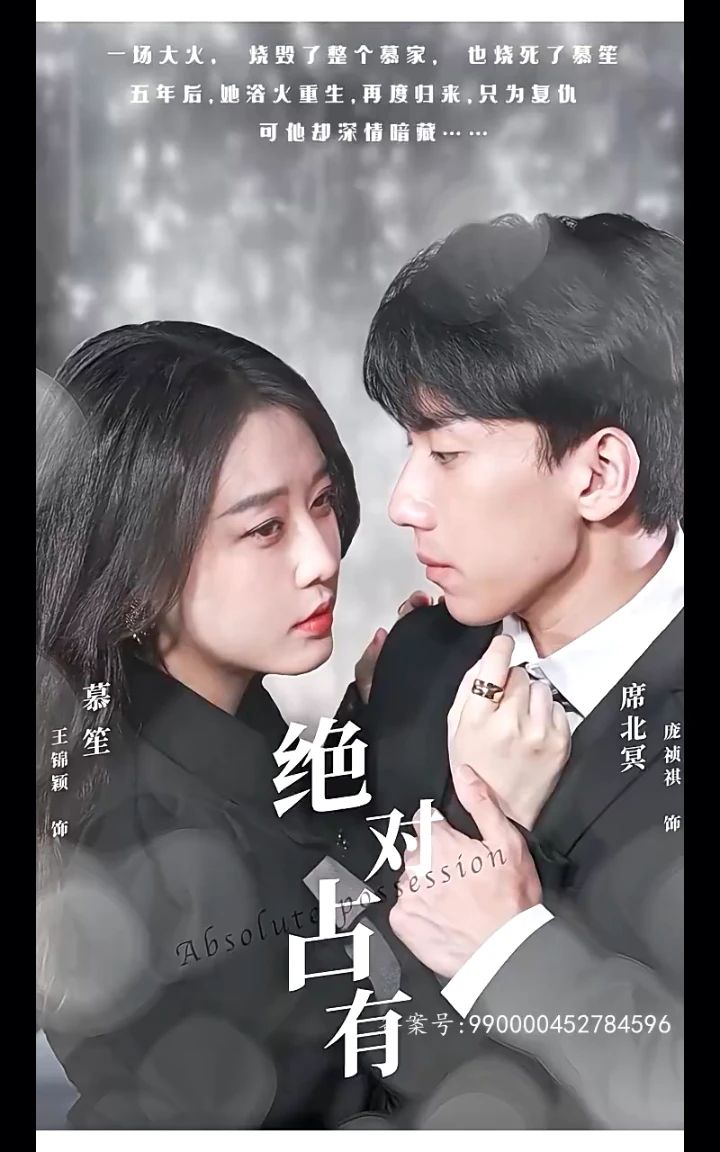 绝对占有海报