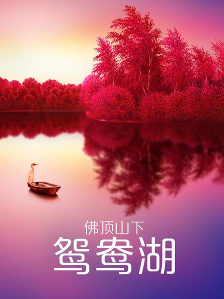 佛顶山下鸳鸯湖海报