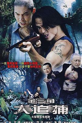 大追捕2008海报