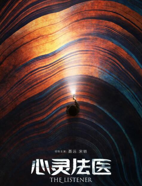 心灵法医海报