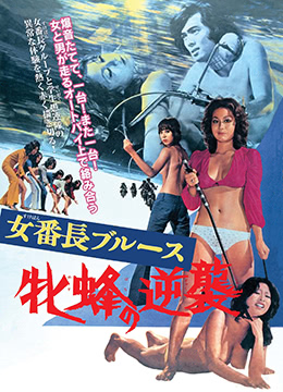 女番长布鲁斯：雌蜂的逆袭海报