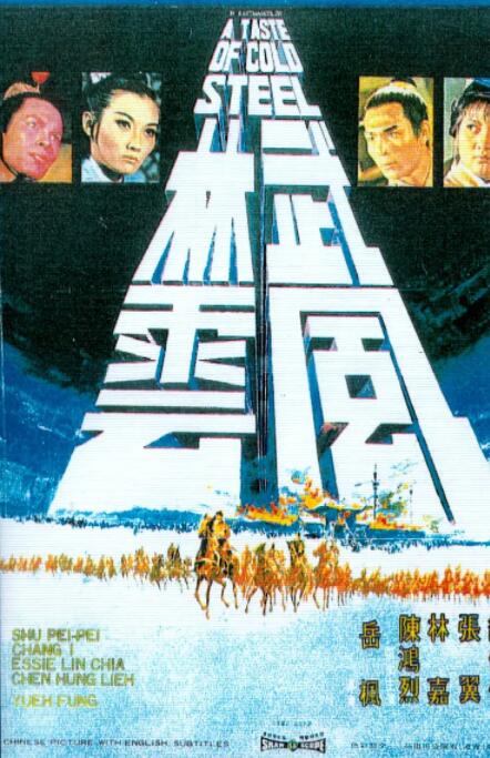 武林风云海报