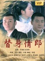 替身情郎海报