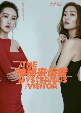 神秘来访者海报