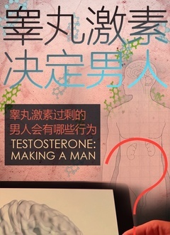 睾丸激素决定男人海报