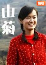 山菊海报