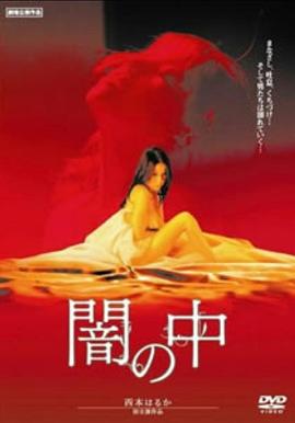 暗之中海报