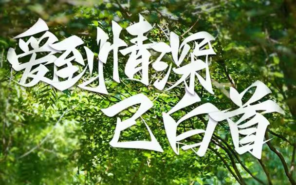 爱到情深已白首海报
