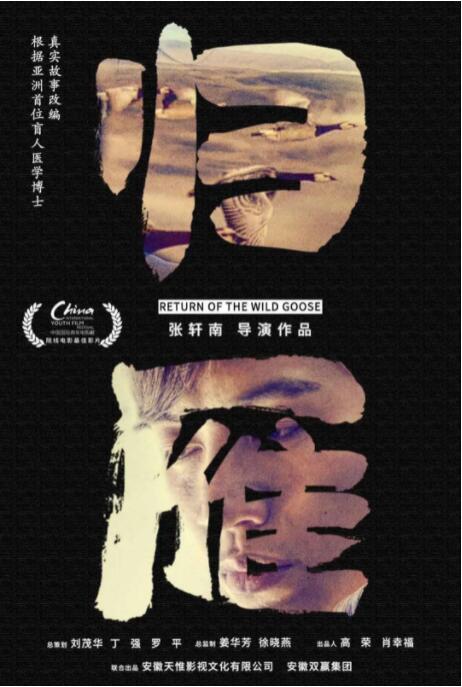 归雁海报