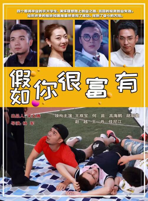 假如你很富有海报