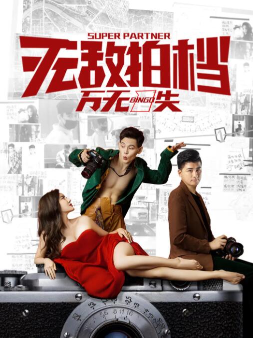 无敌拍档之万无一失海报