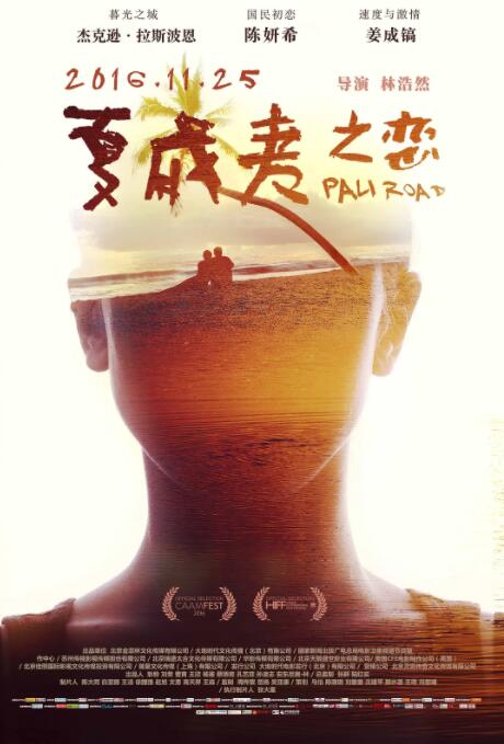 夏威夷之恋海报