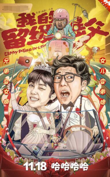 我的留级岳父海报