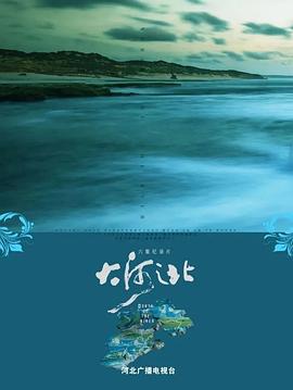 大河之北海报