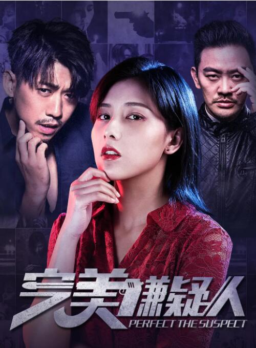完美嫌疑人海报