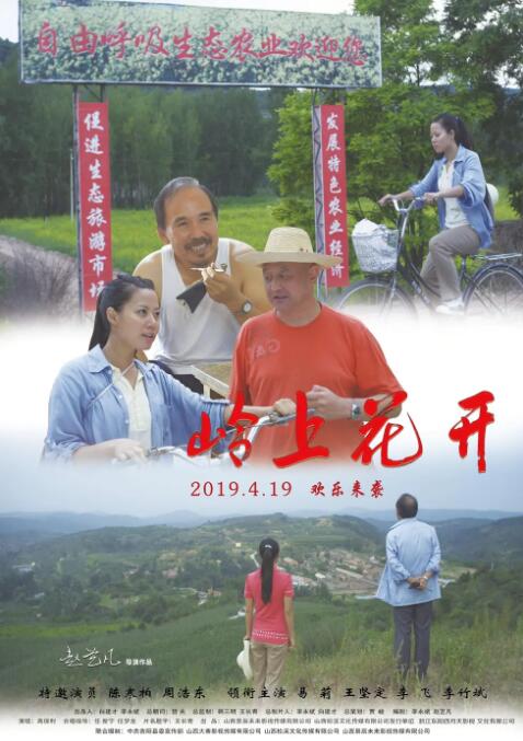 岭上花开海报