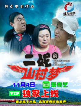 二妮的山村梦海报