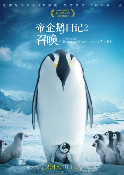 帝企鹅日记2：召唤海报