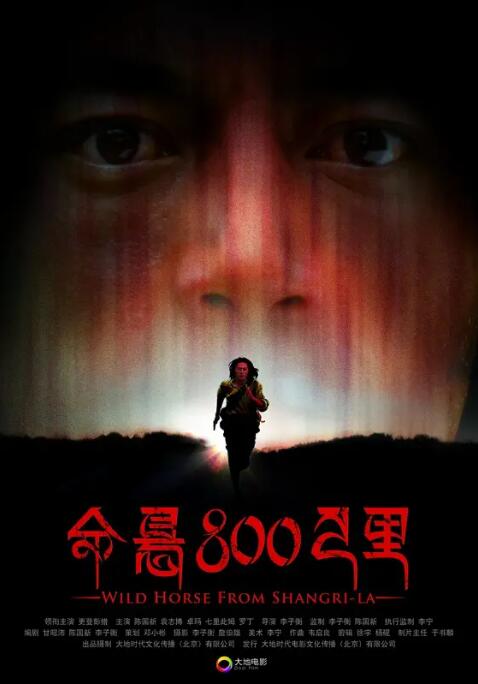 命悬800公里海报