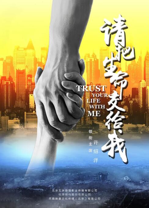 请把生命交给我海报