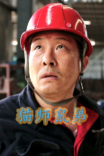 猫师鼠弟海报