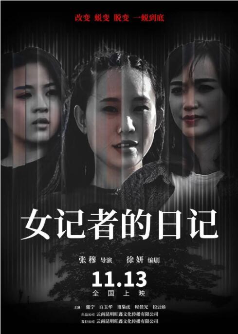 女记者的日记海报