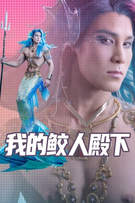 我的鲛人殿下海报