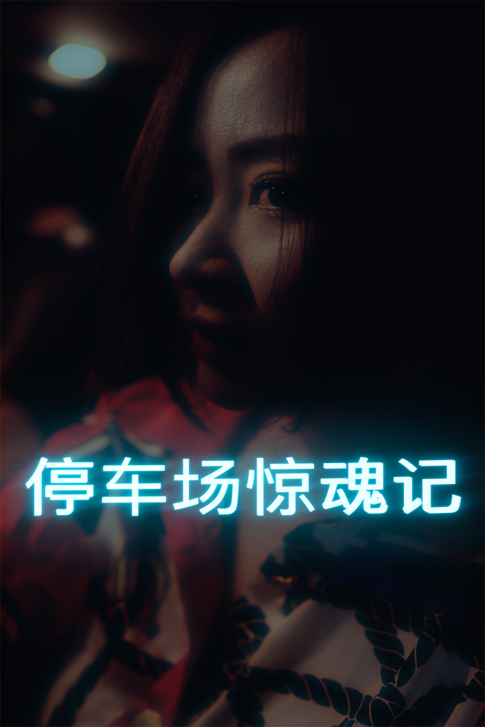 停车场惊魂记海报