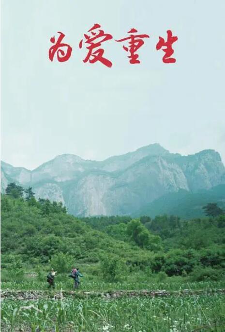 为爱重生海报