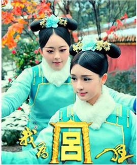我为宫狂海报