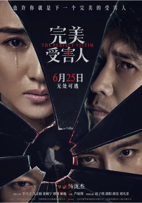 完美受害人海报