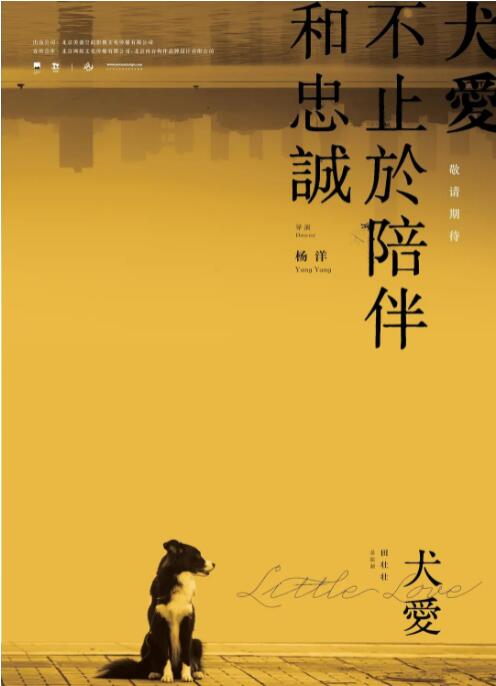 犬爱海报