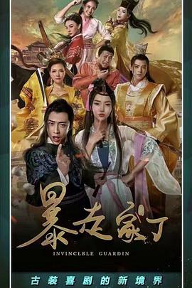 暴走家丁海报