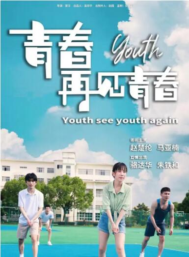 青春再见青春海报