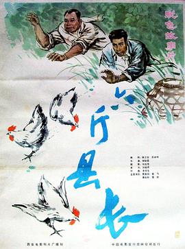 六斤县长海报