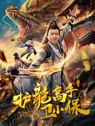 护龙高手卫小保海报