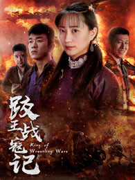 跤王战寇记海报