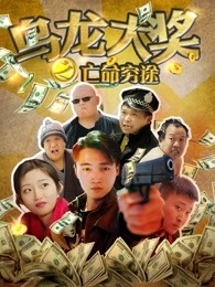 乌龙大奖之亡命穷途海报