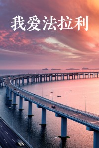 我爱法拉利海报