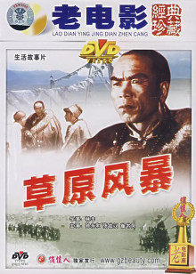 草原风暴海报