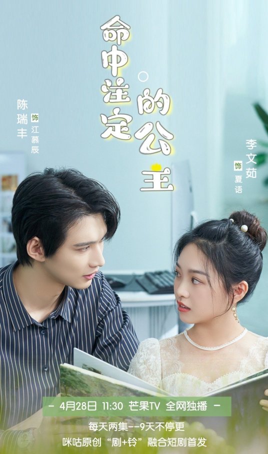 命中注定的公主海报
