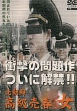 北朝鮮高級売春女海报